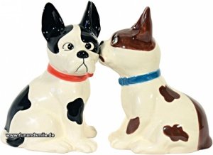 Das Salz- und Pfefferstreuer als niedlic