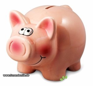 Das coole schweinchenrosa Sparschwein