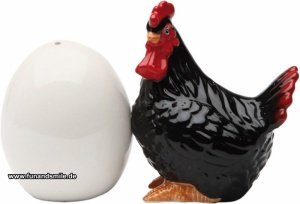 Das magnetische Salz- und Pfefferstreuer