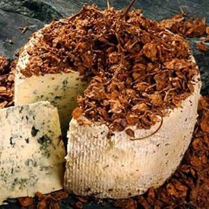 Degust Golden Gel affinierter Blauschimm