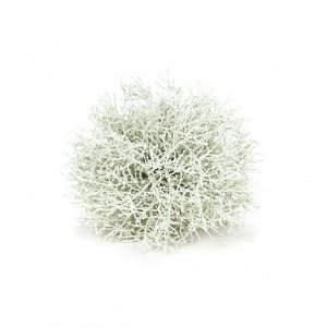 Deko-Kugel Korall grün-weiß 20cm