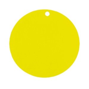 Dekoanhänger Kreis, grün, 10 St.