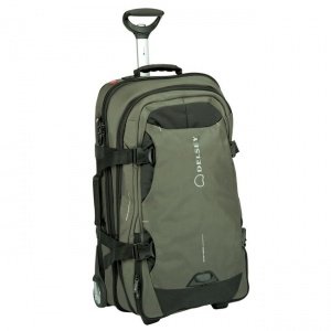 Delsey CrossTrip, 78 cm, Trolley, cactus