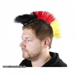 Der Irokesenkamm Deutschland - Das Fan H