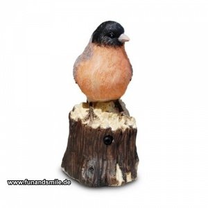 Der Vogel als lustiger Bewegungsmelder