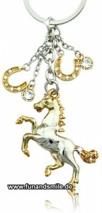 Der glitzernde Schlüsselanhänger mit Pfe