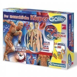 Der menschliche Körper