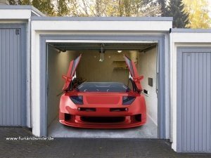 Die Auto Fotoplane für das Garagentor