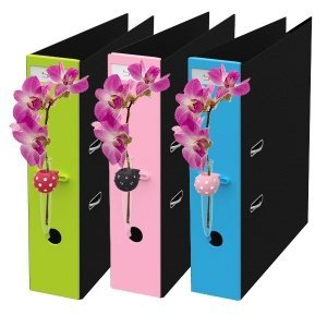 Die Flower App. fürs Büro