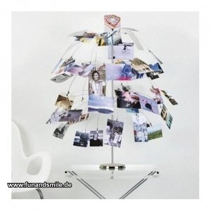 Die Fotopalme mit 49 Clips