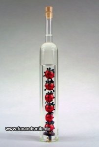 Die Glückskäfer Fun Flasche