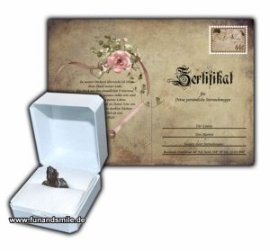 Die Sternschnuppe zur Hochzeit mit Zerti