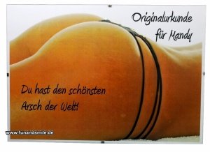 Die Urkunden für den schönsten Arsch/Aug