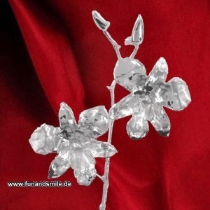 Die echte und 999er versilberte Orchidee