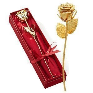 ´Die goldene Rose´ - Vergoldete Rose in 