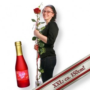 Die längste echte Rose der Welt und Secc