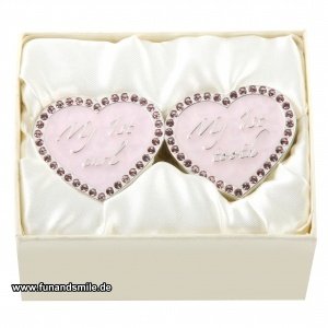 Die schönen versilberten Herzendosen für