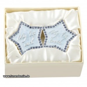 Die schönen versilberten Sterndosen für 