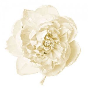 Diffuser Duftblüte Pfingstrose, weiß, Vo