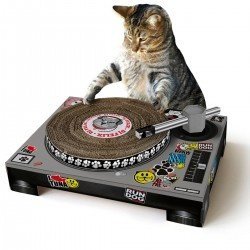 DJ-Pult für Katzen