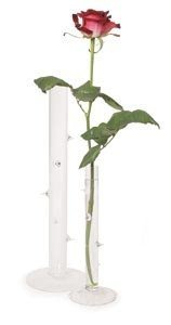 % DORNRÖSCHEN Rosen-Vase GROSS