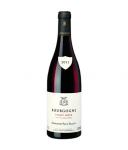 Domaine Paul Pillot Paul Pillot Bourgogn