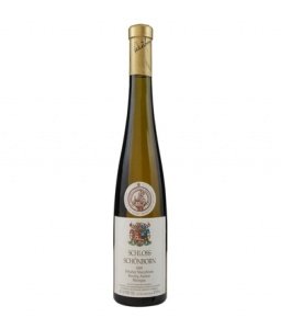 Domänenweingut Schloss Schönborn Schloss