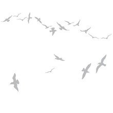 Domestic - Flock of Gulls Wandsticker, s