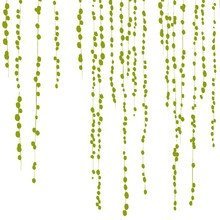 Domestic - Jungle Peas Wandsticker, grün