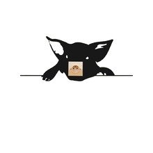 Domestic - Zoo Cochon Wandsticker