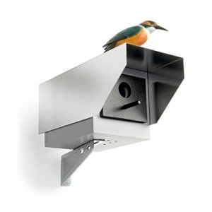 Donkey Nistkasten Überwachungskamera