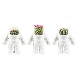 Blumentopf King Cactus