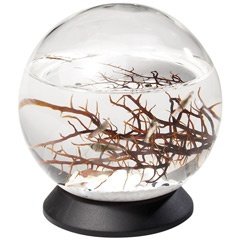 Drehteller für kleine EcoSphere Kugel