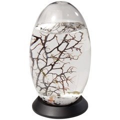 Drehteller für kleines EcoSphere Oval