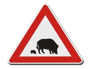 Dreieckiges Verkehrsschild mit Wildschwe
