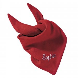 Dreieckstuch mit Namen