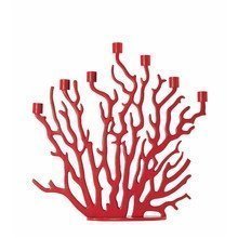 Driade - Kosmo, Tenochtitlan Kerzenleuch