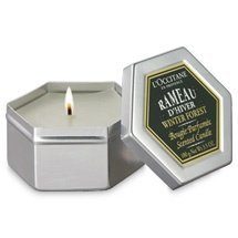 Duftkerze Winterzweig