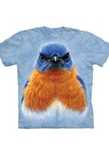 Eastern Bluebird Portrait Face The Mount