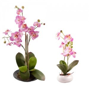 Echt aussehende Orchidee