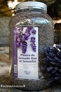 Echte Lavendel- und Lavandinblüten