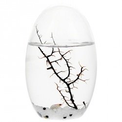 EcoSphere-Ei 13 cm Natur - Aquarium