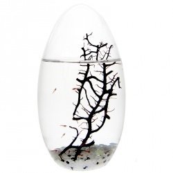 EcoSphere-Ei 19 cm Natur - Aquarium