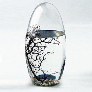 EcoSphere - Ei