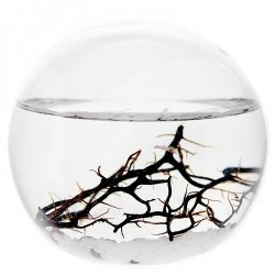 EcoSphere-Kugel 10 cm Natur - Aquarium