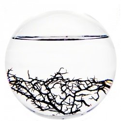 EcoSphere-Kugel 13 cm Natur - Aquarium