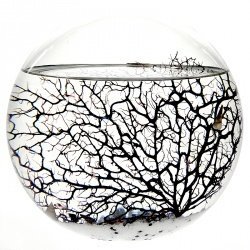 EcoSphere-Kugel 23 cm Natur - Aquarium