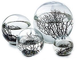 Ecosphere - Das Original