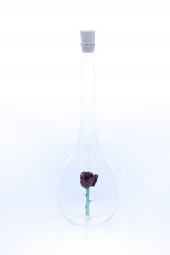 Edelglasflasche Rose