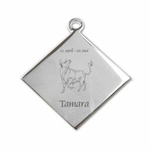 Edelstahlanhänger *Karo Stier*